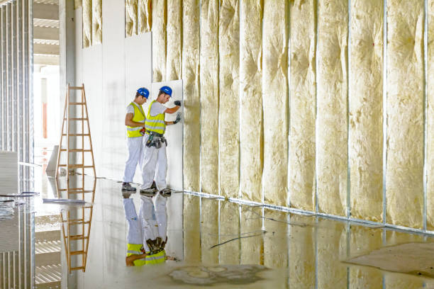 Best Insulation Installation Services in Ames, IA